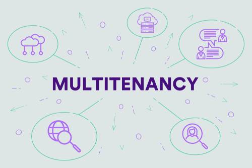 Multi-tenancy-image SM