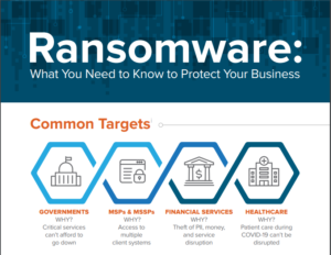Digital Defense Inc. Ransomware Infographic 063030