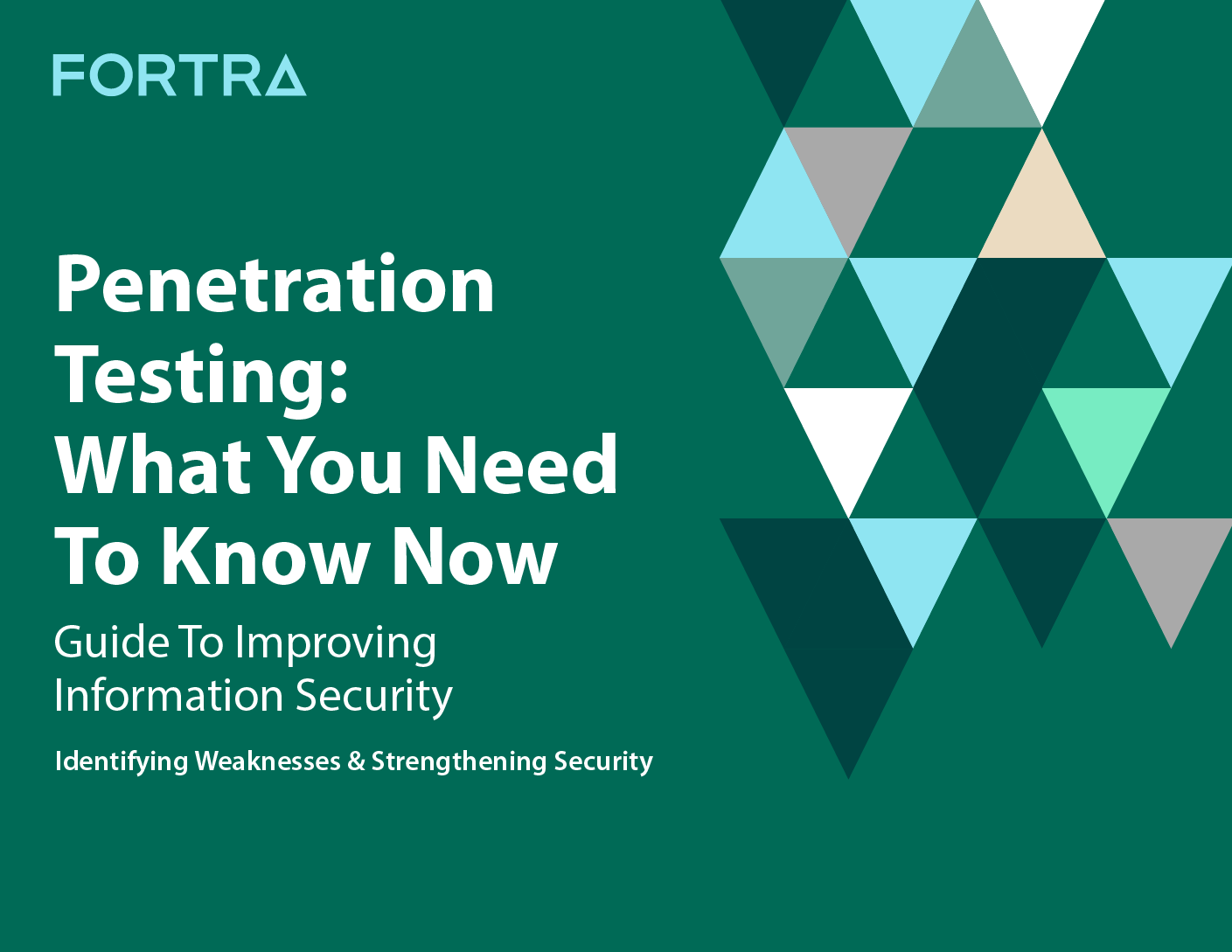 Web App Penetration Testing Services